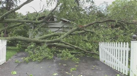Severe weather leaves storm damage in Lake Bluff